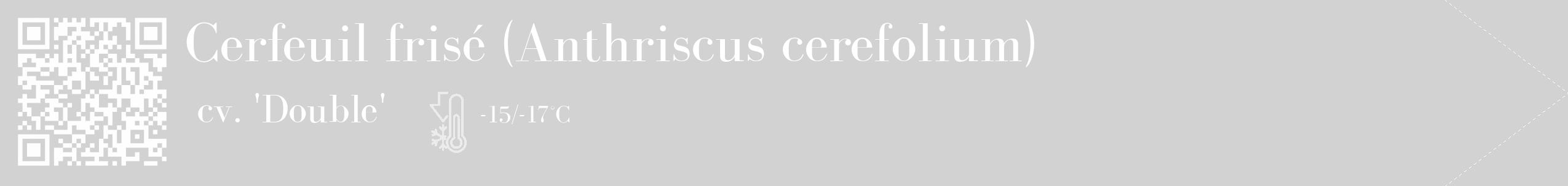 Étiquette de : Anthriscus cerefolium cv. 'Double' - format c - style blanche14_simple_simplebod avec qrcode et comestibilité