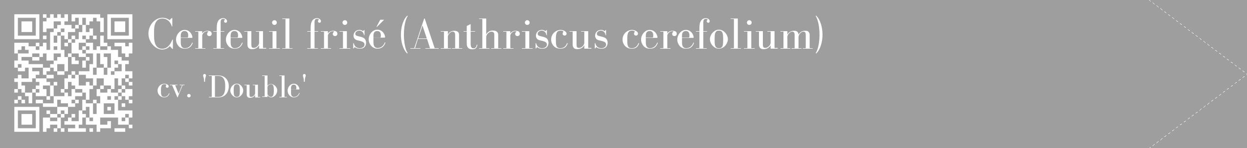 Étiquette de : Anthriscus cerefolium cv. 'Double' - format c - style blanche42_simple_simplebod avec qrcode et comestibilité