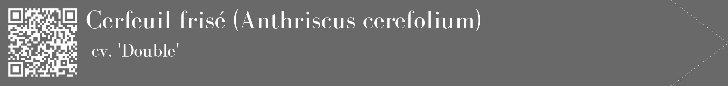 Étiquette de : Anthriscus cerefolium cv. 'Double' - format c - style blanche51_simple_simplebod avec qrcode et comestibilité