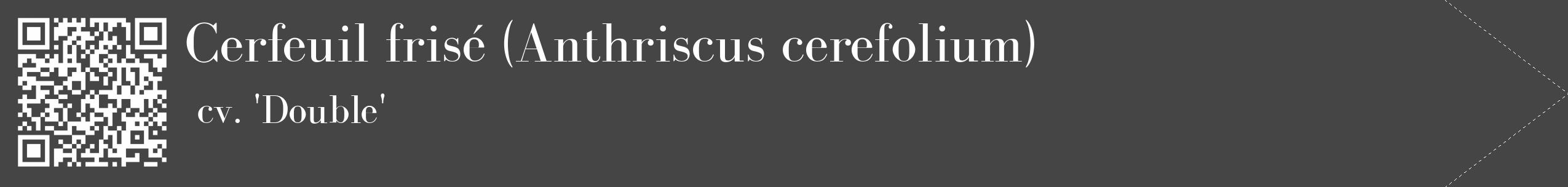 Étiquette de : Anthriscus cerefolium cv. 'Double' - format c - style blanche58_simple_simplebod avec qrcode et comestibilité