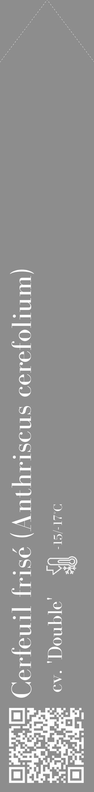 Étiquette de : Anthriscus cerefolium cv. 'Double' - format c - style blanche2_simple_simplebod avec qrcode et comestibilité - position verticale