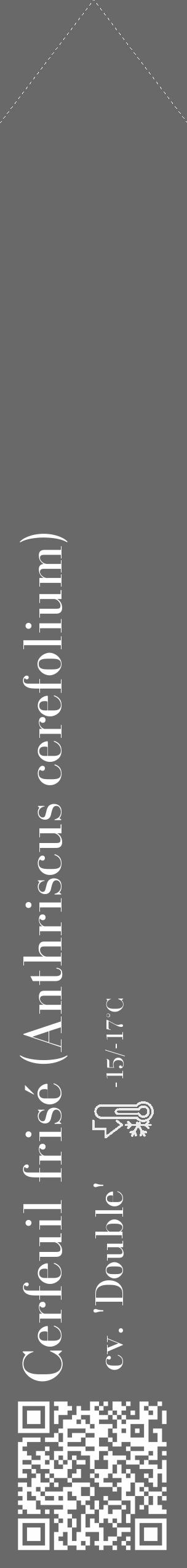 Étiquette de : Anthriscus cerefolium cv. 'Double' - format c - style blanche51_simple_simplebod avec qrcode et comestibilité - position verticale