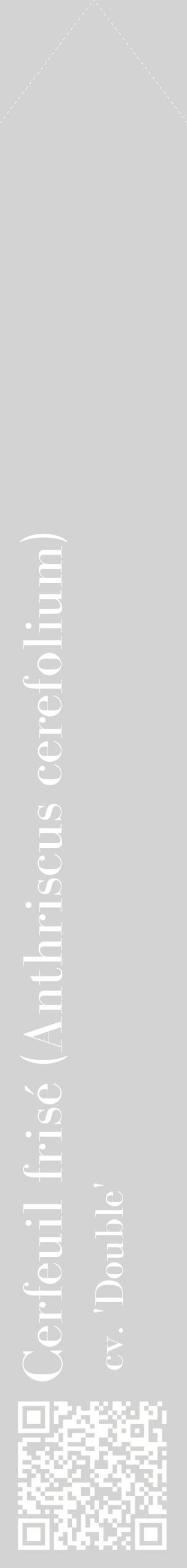 Étiquette de : Anthriscus cerefolium cv. 'Double' - format c - style blanche56_simplebod avec qrcode et comestibilité