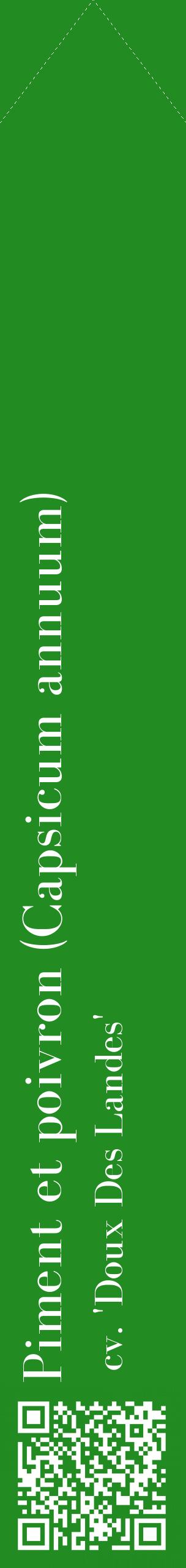 Étiquette de : Capsicum annuum cv. 'Doux Des Landes' - format c - style blanche10_simplebod avec qrcode et comestibilité
