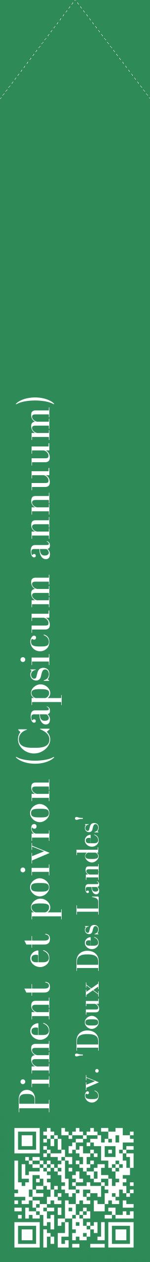 Étiquette de : Capsicum annuum cv. 'Doux Des Landes' - format c - style blanche11_simplebod avec qrcode et comestibilité