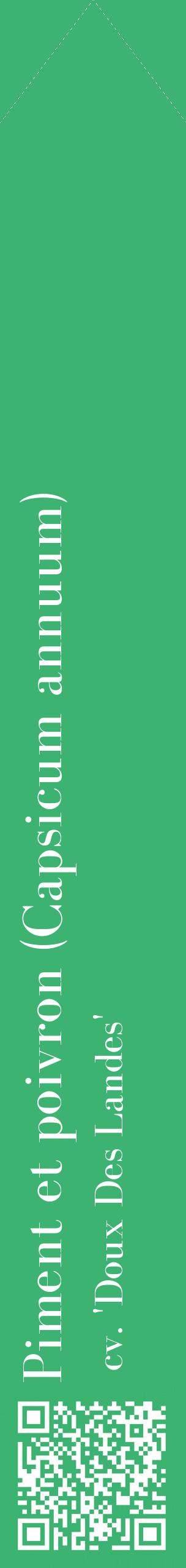 Étiquette de : Capsicum annuum cv. 'Doux Des Landes' - format c - style blanche12_simplebod avec qrcode et comestibilité