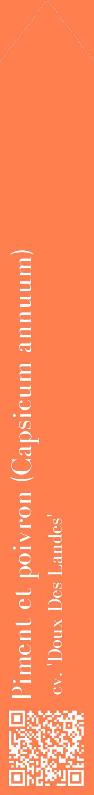 Étiquette de : Capsicum annuum cv. 'Doux Des Landes' - format c - style blanche24_simplebod avec qrcode et comestibilité