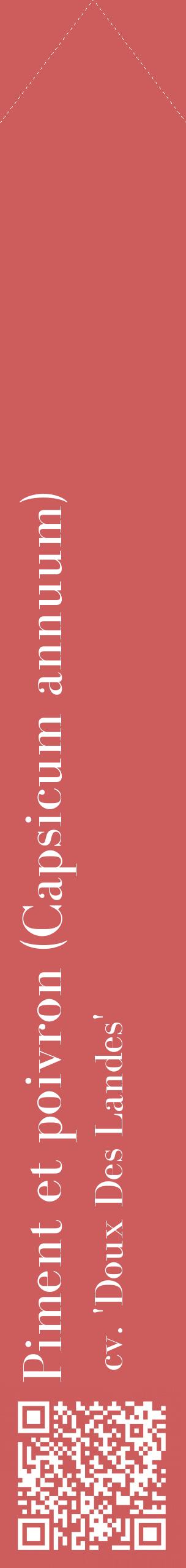 Étiquette de : Capsicum annuum cv. 'Doux Des Landes' - format c - style blanche35_simplebod avec qrcode et comestibilité