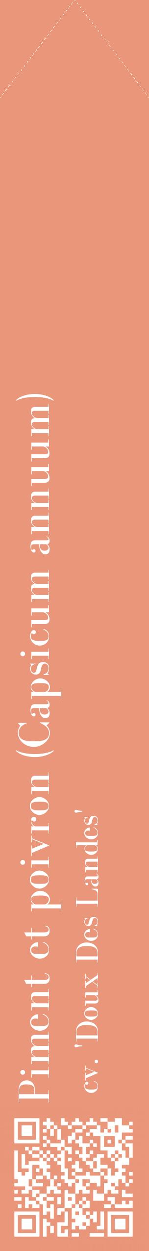 Étiquette de : Capsicum annuum cv. 'Doux Des Landes' - format c - style blanche37_simplebod avec qrcode et comestibilité