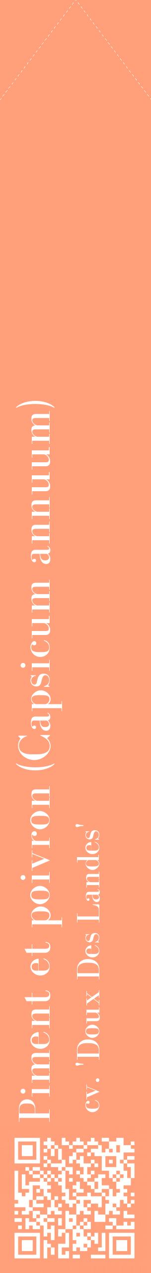 Étiquette de : Capsicum annuum cv. 'Doux Des Landes' - format c - style blanche39_simplebod avec qrcode et comestibilité