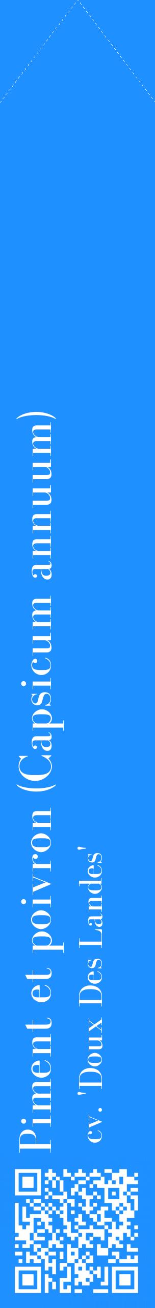 Étiquette de : Capsicum annuum cv. 'Doux Des Landes' - format c - style blanche3_simplebod avec qrcode et comestibilité