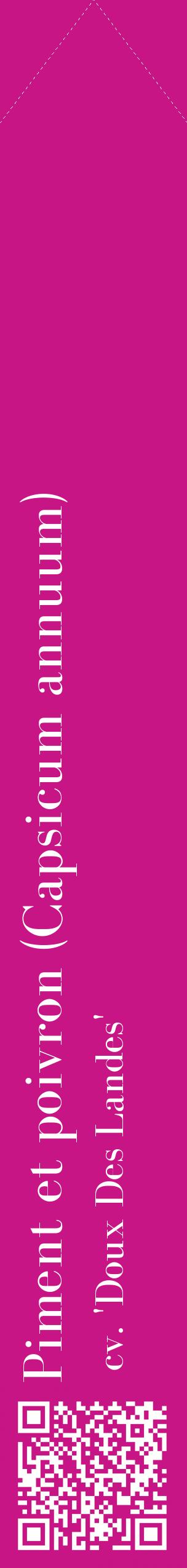 Étiquette de : Capsicum annuum cv. 'Doux Des Landes' - format c - style blanche45_simplebod avec qrcode et comestibilité