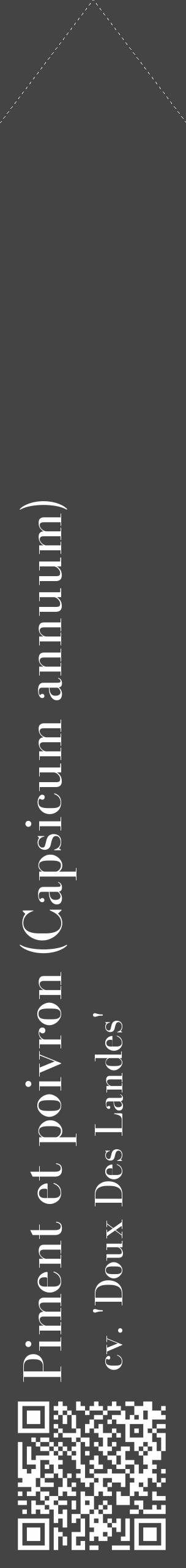 Étiquette de : Capsicum annuum cv. 'Doux Des Landes' - format c - style blanche48_simple_simplebod avec qrcode et comestibilité - position verticale