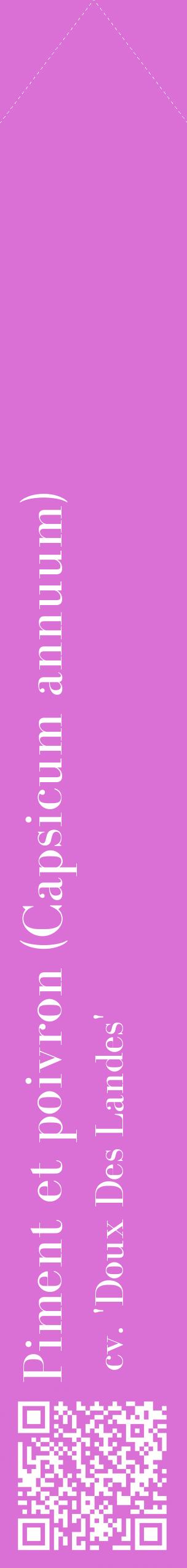 Étiquette de : Capsicum annuum cv. 'Doux Des Landes' - format c - style blanche52_simplebod avec qrcode et comestibilité