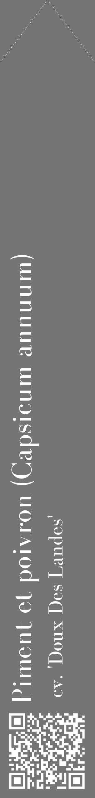 Étiquette de : Capsicum annuum cv. 'Doux Des Landes' - format c - style blanche5_simple_simplebod avec qrcode et comestibilité - position verticale