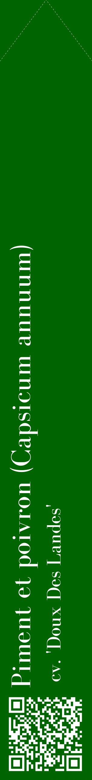Étiquette de : Capsicum annuum cv. 'Doux Des Landes' - format c - style blanche8_simplebod avec qrcode et comestibilité