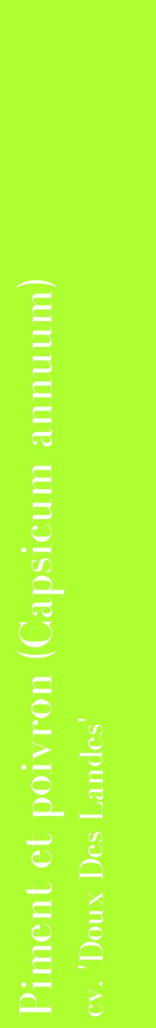Étiquette de : Capsicum annuum cv. 'Doux Des Landes' - format c - style blanche17_basiquebod avec comestibilité