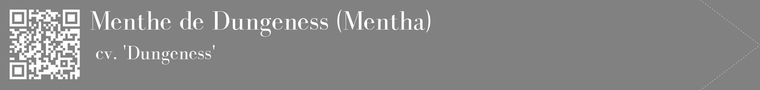 Étiquette de : Mentha cv. 'Dungeness' - format c - style blanche50_simple_simplebod avec qrcode et comestibilité