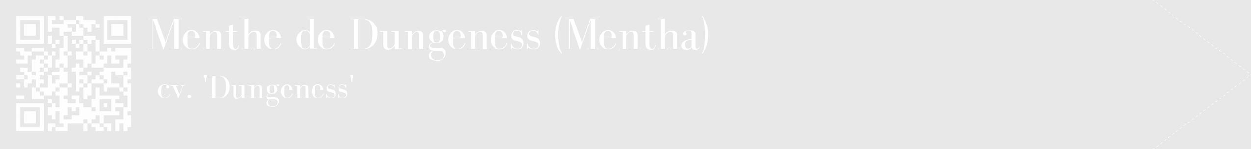Étiquette de : Mentha cv. 'Dungeness' - format c - style blanche55_simple_simplebod avec qrcode et comestibilité