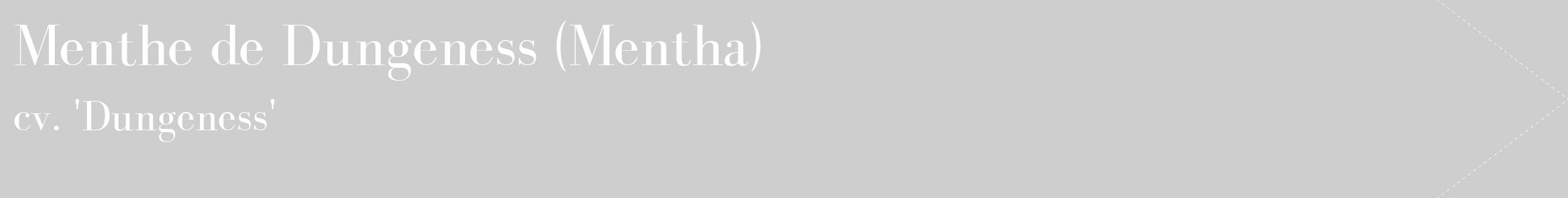 Étiquette de : Mentha cv. 'Dungeness' - format c - style blanche17_simple_simplebod avec comestibilité