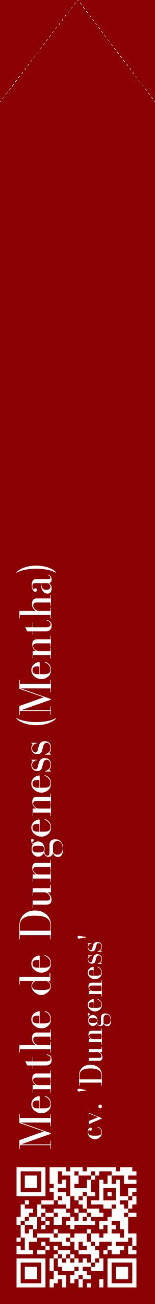 Étiquette de : Mentha cv. 'Dungeness' - format c - style blanche34_simplebod avec qrcode et comestibilité