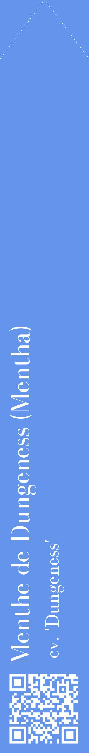 Étiquette de : Mentha cv. 'Dungeness' - format c - style blanche4_simplebod avec qrcode et comestibilité