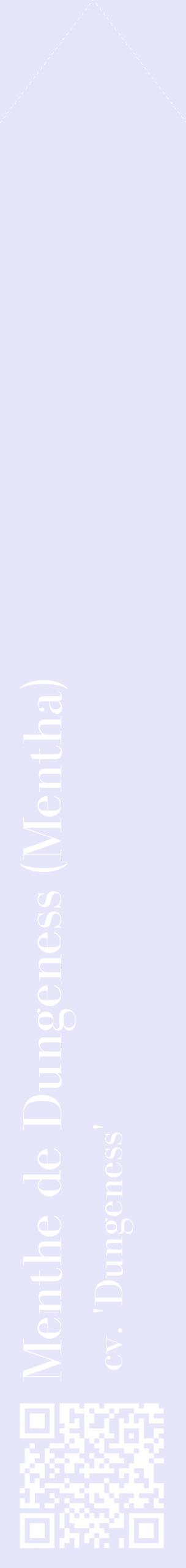Étiquette de : Mentha cv. 'Dungeness' - format c - style blanche55_simplebod avec qrcode et comestibilité