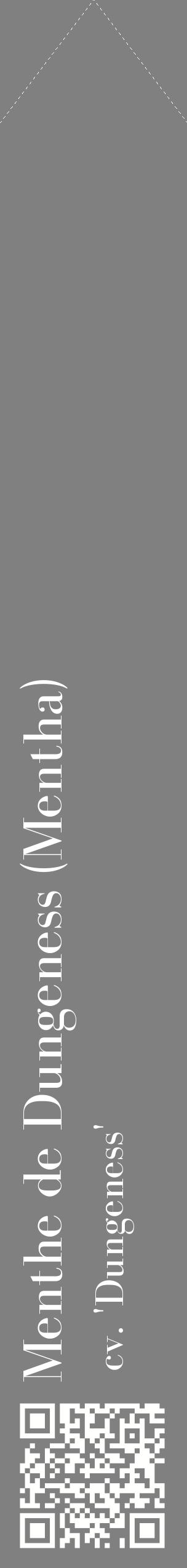 Étiquette de : Mentha cv. 'Dungeness' - format c - style blanche57_simplebod avec qrcode et comestibilité