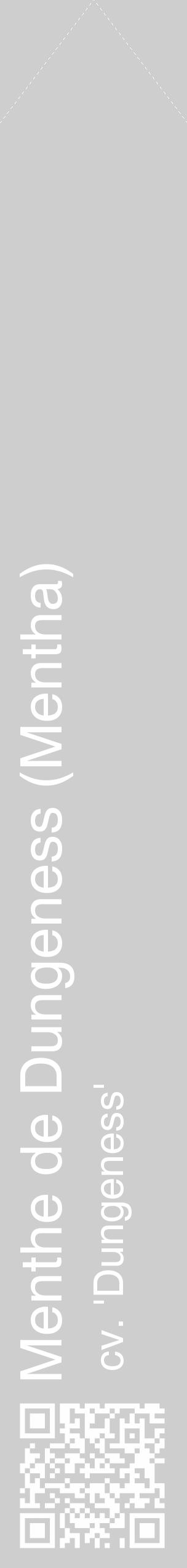 Étiquette de : Mentha cv. 'Dungeness' - format c - style blanche17_simple_simplehel avec qrcode et comestibilité - position verticale