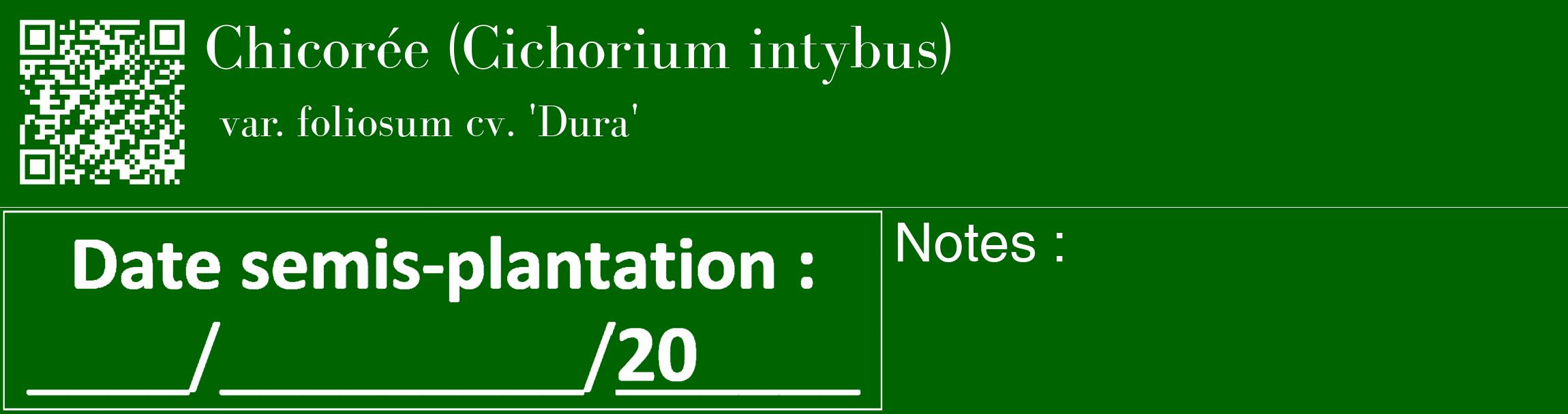Étiquette de : Cichorium intybus var. foliosum cv. 'Dura' - format c - style blanche8_basique_basiquebod avec qrcode et comestibilité