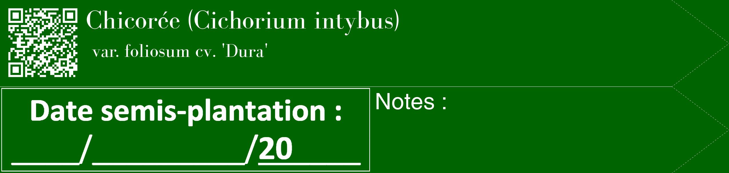 Étiquette de : Cichorium intybus var. foliosum cv. 'Dura' - format c - style blanche8_simple_simplebod avec qrcode et comestibilité