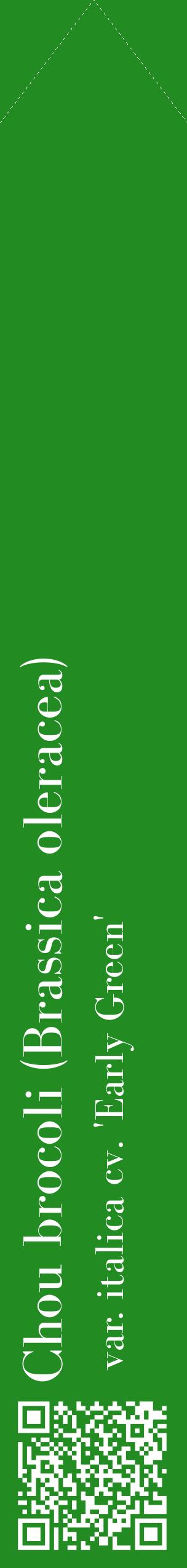 Étiquette de : Brassica oleracea var. italica cv. 'Early Green' - format c - style blanche10_simplebod avec qrcode et comestibilité