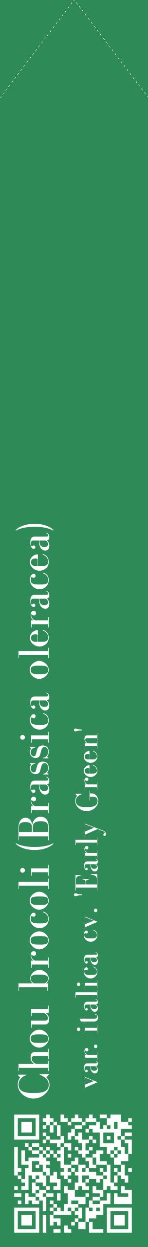 Étiquette de : Brassica oleracea var. italica cv. 'Early Green' - format c - style blanche11_simplebod avec qrcode et comestibilité