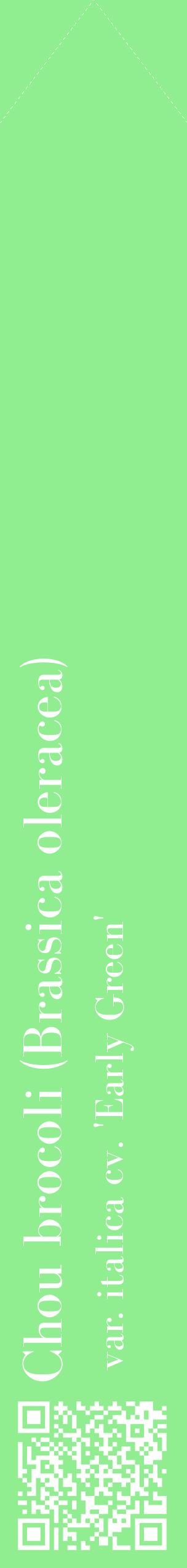 Étiquette de : Brassica oleracea var. italica cv. 'Early Green' - format c - style blanche15_simplebod avec qrcode et comestibilité