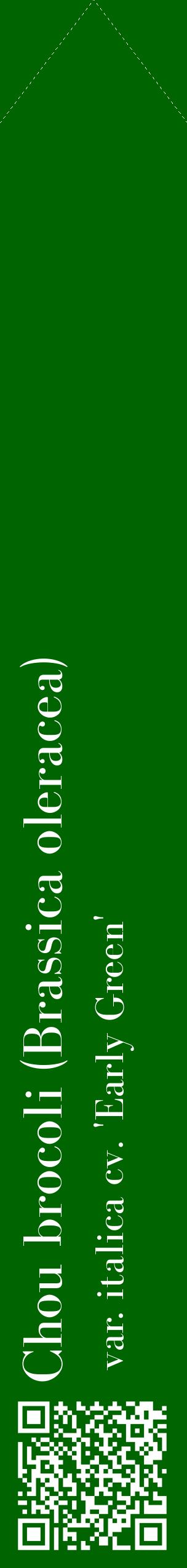 Étiquette de : Brassica oleracea var. italica cv. 'Early Green' - format c - style blanche8_simplebod avec qrcode et comestibilité