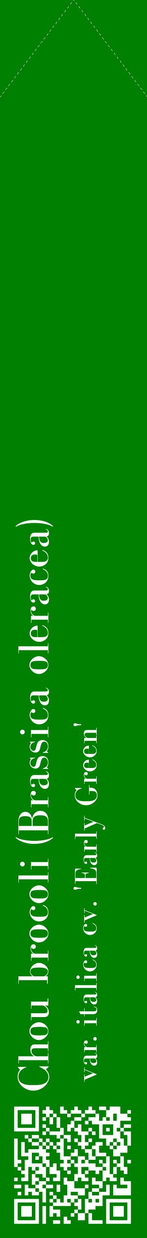 Étiquette de : Brassica oleracea var. italica cv. 'Early Green' - format c - style blanche9_simplebod avec qrcode et comestibilité
