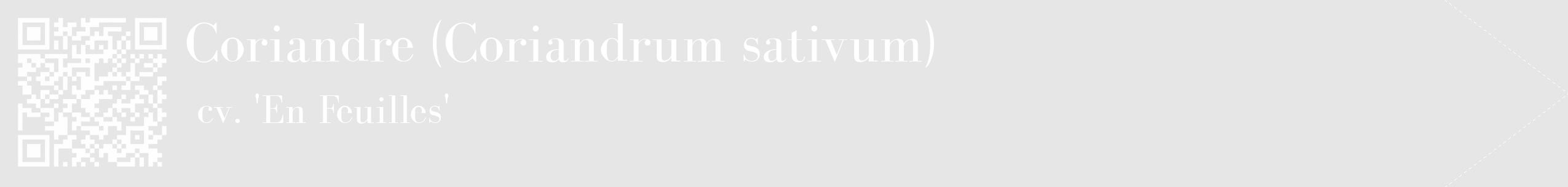Étiquette de : Coriandrum sativum cv. 'En Feuilles' - format c - style blanche18_simple_simplebod avec qrcode et comestibilité