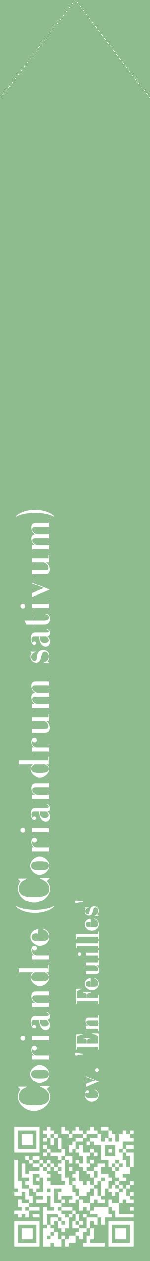 Étiquette de : Coriandrum sativum cv. 'En Feuilles' - format c - style blanche13_simplebod avec qrcode et comestibilité