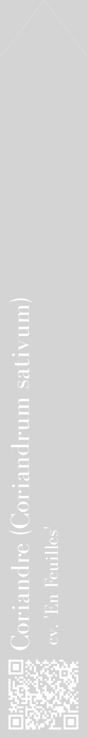 Étiquette de : Coriandrum sativum cv. 'En Feuilles' - format c - style blanche40_simple_simplebod avec qrcode et comestibilité - position verticale