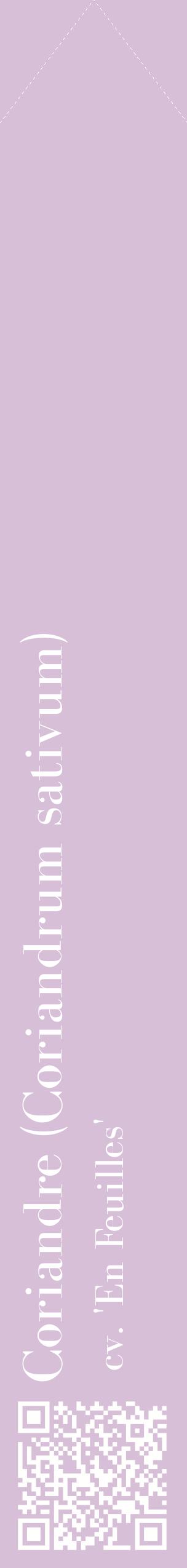 Étiquette de : Coriandrum sativum cv. 'En Feuilles' - format c - style blanche54_simplebod avec qrcode et comestibilité