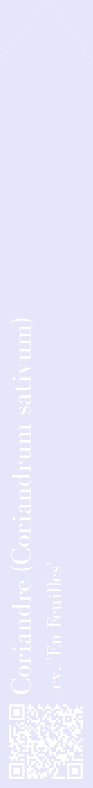 Étiquette de : Coriandrum sativum cv. 'En Feuilles' - format c - style blanche55_simplebod avec qrcode et comestibilité