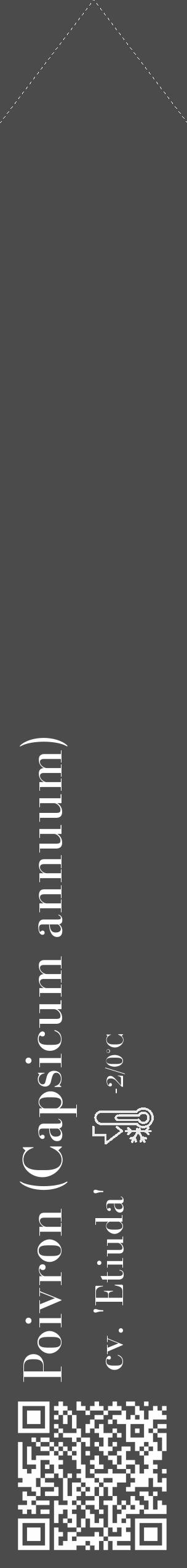 Étiquette de : Capsicum annuum cv. 'Etiuda' - format c - style blanche9_simple_simplebod avec qrcode et comestibilité - position verticale
