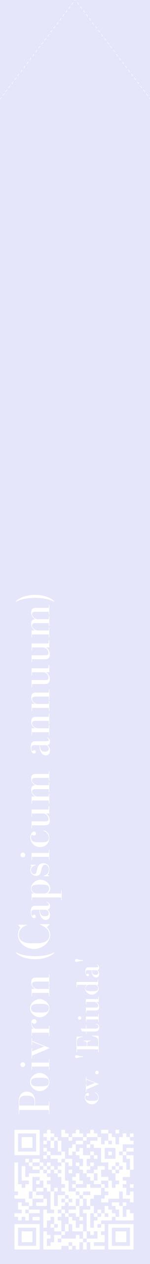 Étiquette de : Capsicum annuum cv. 'Etiuda' - format c - style blanche55_simplebod avec qrcode et comestibilité