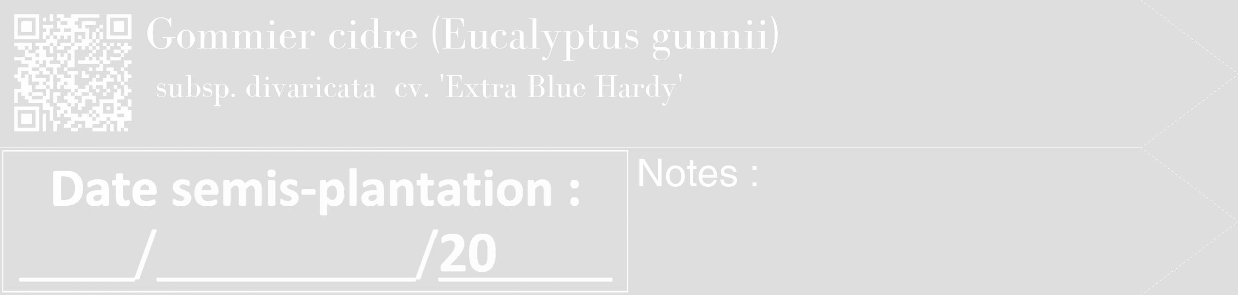 Étiquette de : Eucalyptus gunnii subsp. divaricata  cv. 'Extra Blue Hardy' - format c - style blanche20_simple_simplebod avec qrcode et comestibilité
