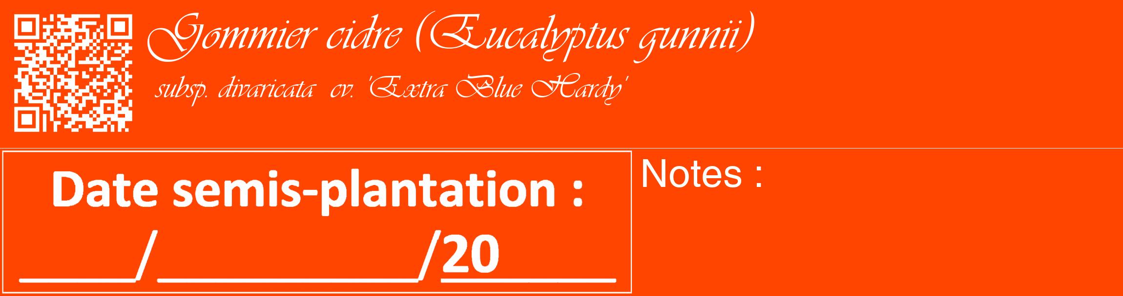Étiquette de : Eucalyptus gunnii subsp. divaricata  cv. 'Extra Blue Hardy' - format c - style blanche26_basique_basiqueviv avec qrcode et comestibilité