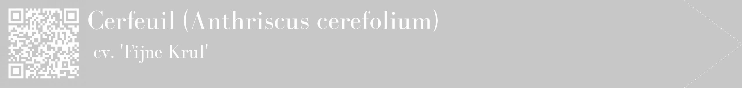 Étiquette de : Anthriscus cerefolium cv. 'Fijne Krul' - format c - style blanche15_simple_simplebod avec qrcode et comestibilité