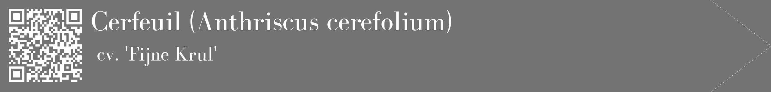 Étiquette de : Anthriscus cerefolium cv. 'Fijne Krul' - format c - style blanche26_simple_simplebod avec qrcode et comestibilité