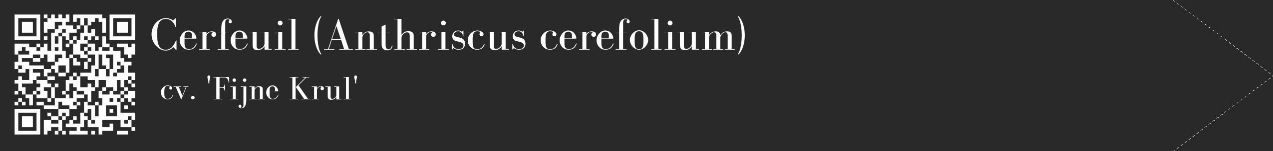 Étiquette de : Anthriscus cerefolium cv. 'Fijne Krul' - format c - style blanche34_simple_simplebod avec qrcode et comestibilité