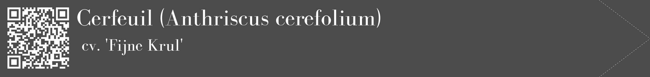 Étiquette de : Anthriscus cerefolium cv. 'Fijne Krul' - format c - style blanche9_simple_simplebod avec qrcode et comestibilité