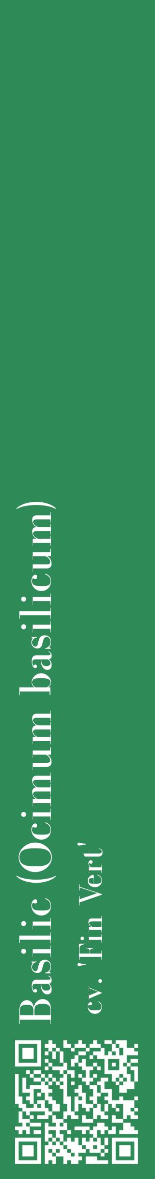 Étiquette de : Ocimum basilicum cv. 'Fin Vert' - format c - style blanche11_basiquebod avec qrcode et comestibilité
